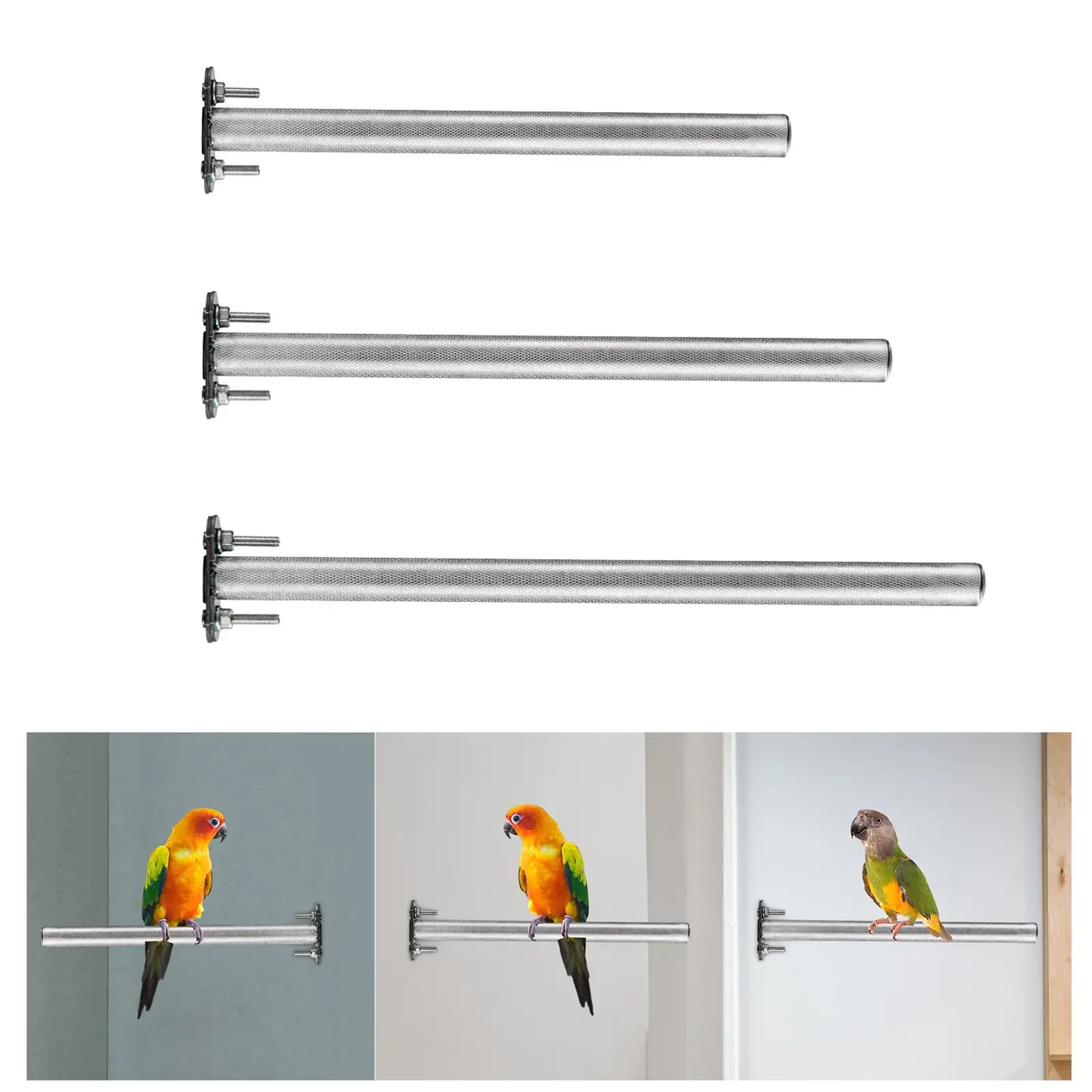 Bird Cage Perch Stainless Steel Parrot Stand Claws Grinding Rod Bird Perch for Small Birds Finches Cage Accessories