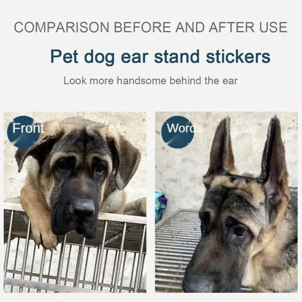 2pcs/set Pet Dog Ear Stand Up Stickers Ear Correction Dog Supplies Ear Care Tools Convenient Effective 3