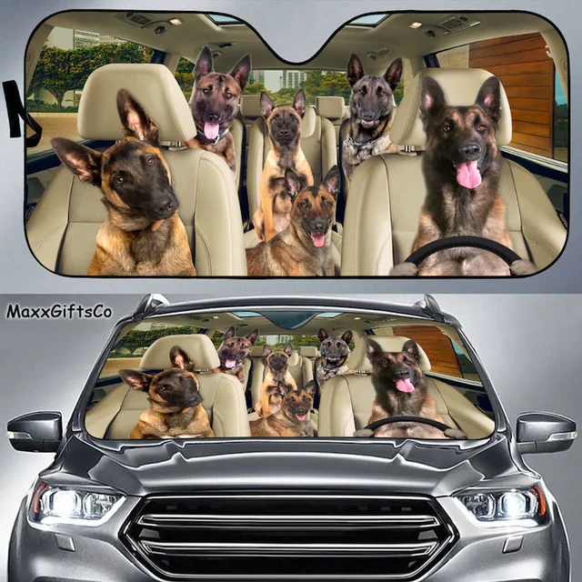 Malinois Auto Sonnenschutz, Malinois Windschutzscheibe, Malinois Familie  Sonnenschirm, Hund Auto Zubehör, Auto Dekoration, geschenk Für Papa, Mama -  AliExpress