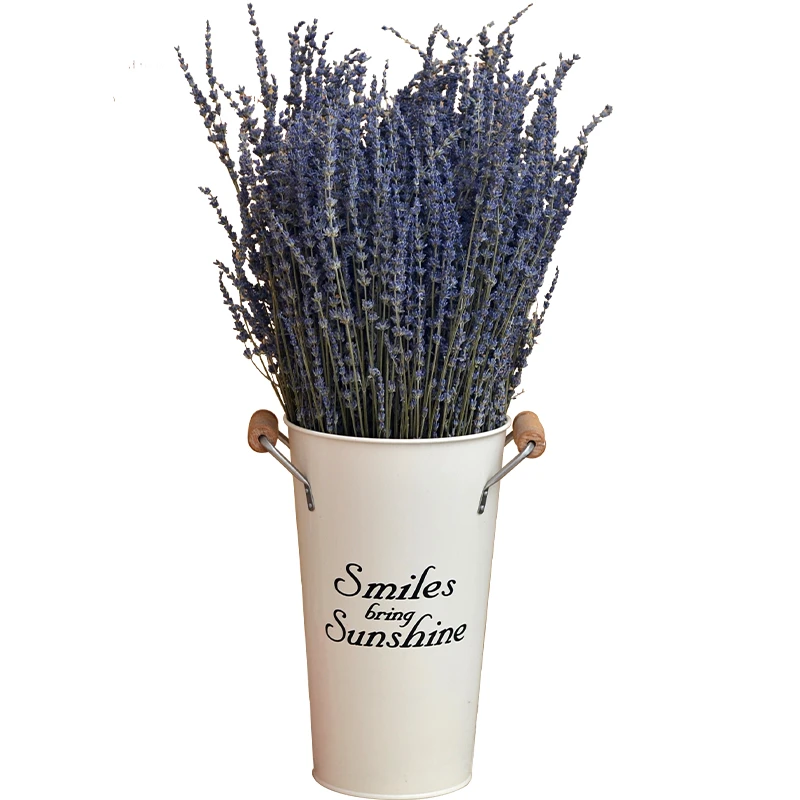 Ramo de flores secas de lavanda Natural, ramo de flores secas, ramas de  plantas, decoración del hogar, arreglos florales, suministros para fiestas  y festivales de boda|bouquet decoration|lavender bouquetdecorative flowers  - AliExpress