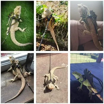 Bearded Dragon Harness Leash Set 4