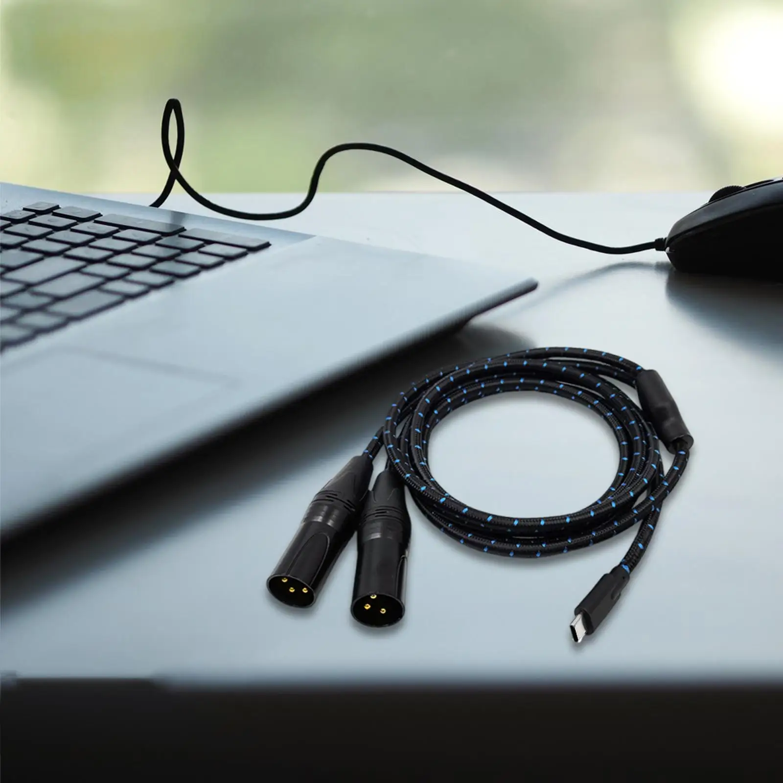 Type C to 2 XLR Male Cable 2M/ 6.6ft for Connecting Mobile Phone Laptops