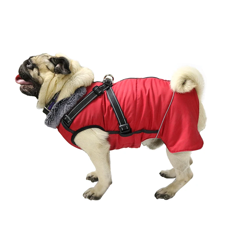 Dog Harnesses Trespass Dog Fleece Trespass Trespaws Duke X Warm In