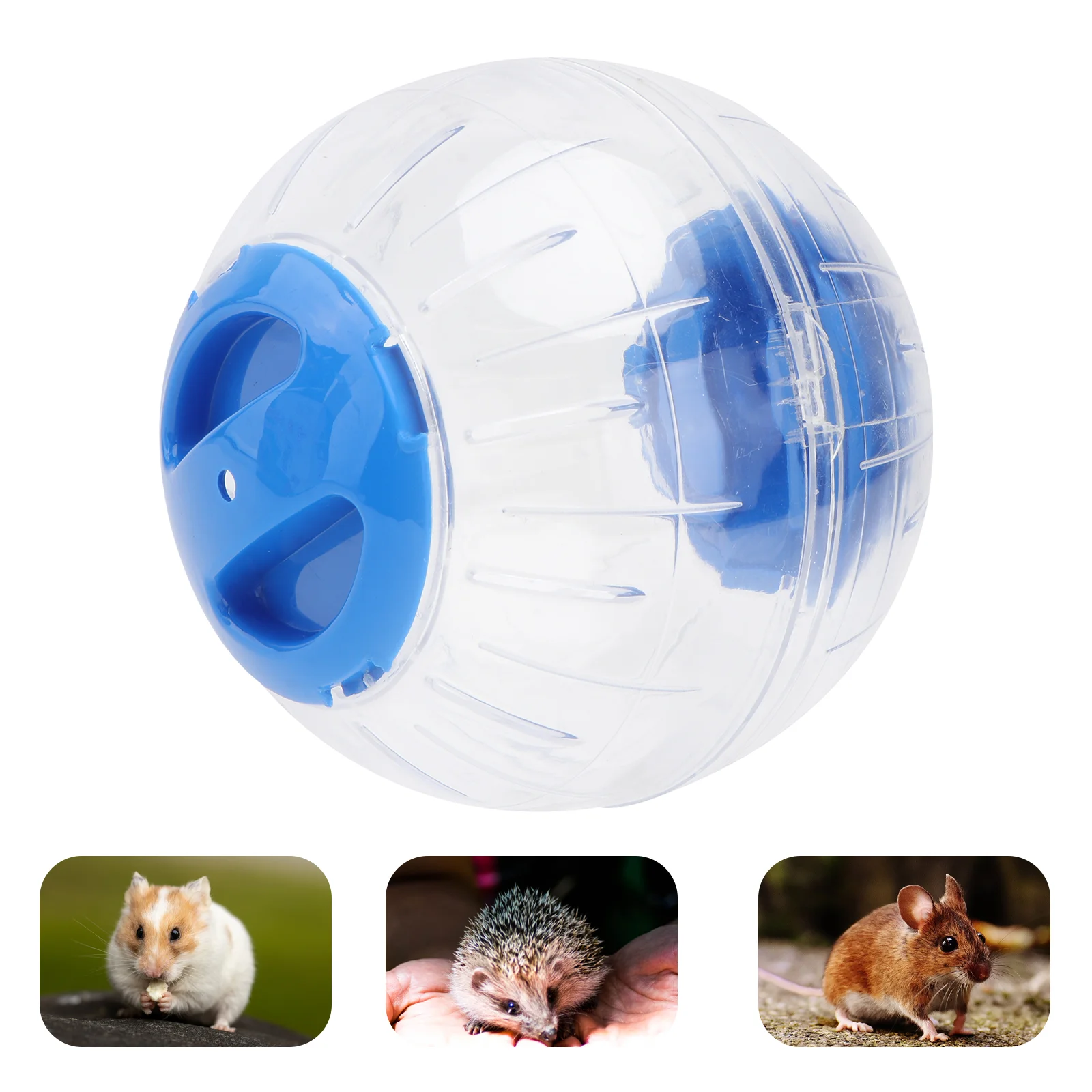 

Hamster Exercise- Toys, Hamster Running for Small Hamster ( Blue )