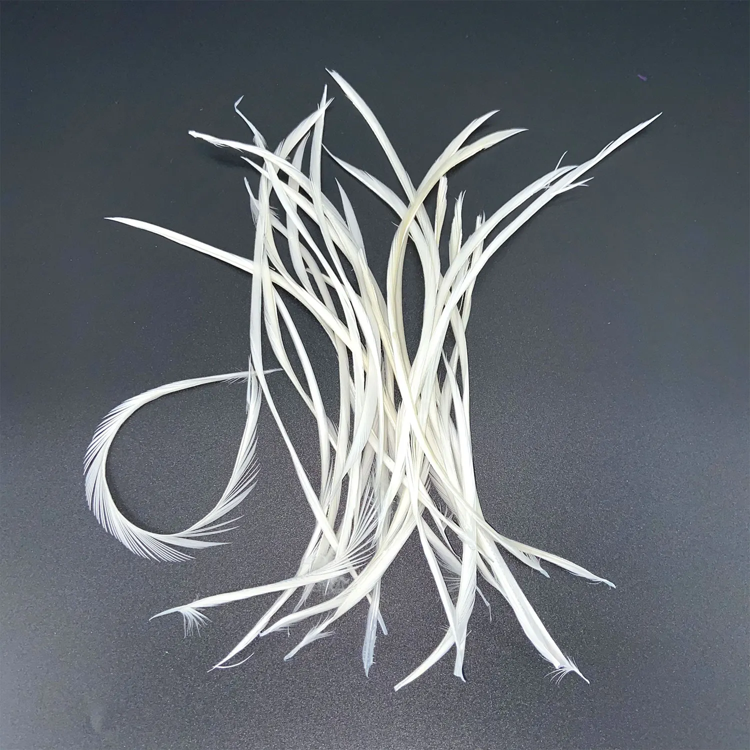 Description Picture 4 of item20Pcs White Pheasant Feathers for Crafts Natural Ostrich Feather Goose Turkey Plumes Dream Catcher Accessories DIY Wedding Decor