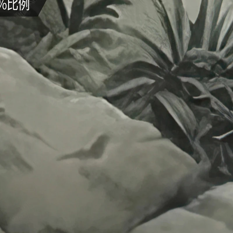 3d plantas verdes tropicais mural wallpaper coconut 03