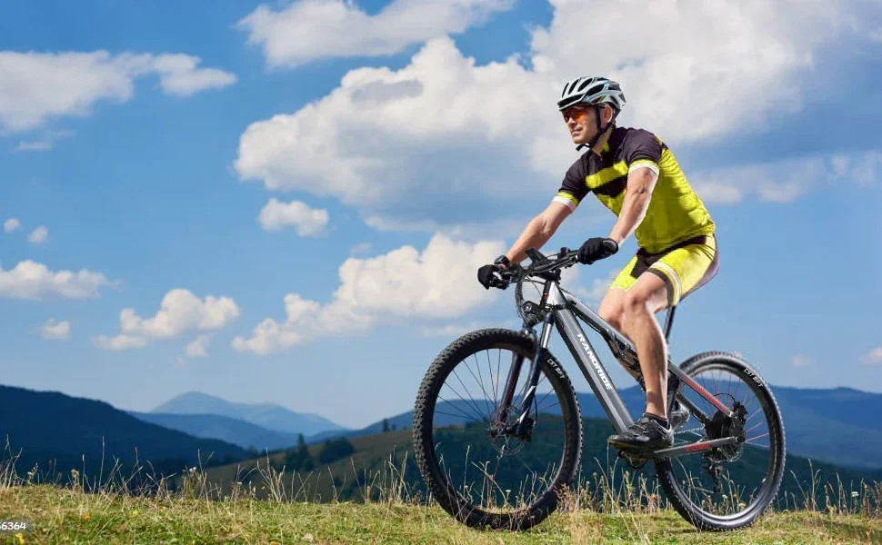 Randride YG90A Electric bike 27.5 inch 1000W E-Bike 48V 17AH Battery Mountain Fatbike 45km/h S2bae2840ff324f12a34e38d2b84692feb