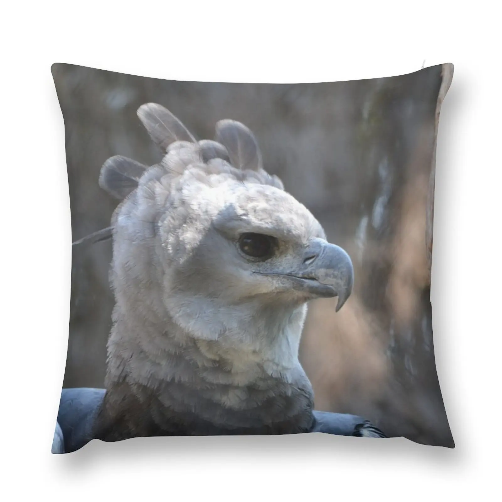 

Harpy Throw Pillow Elastic Cover For Sofa Decorative pillowcase