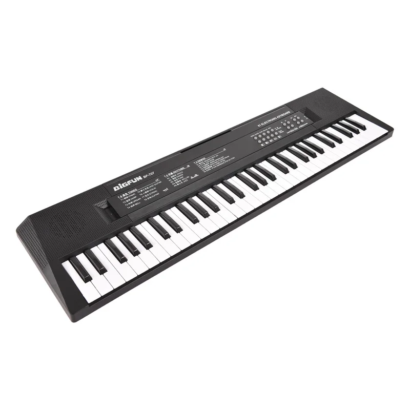 61 Key Electronic Keyboard Piano BIGFUN Dual Speakers 8 Tones 5 Rhythms 5 Drums Percussions 6 Demos Musical Instrument