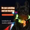 Glowing Dog Collar And Rope Rechargeable Led Dog Collar With Lighted Puppy Collar Lights USB Rechargeable Waterproof High 1