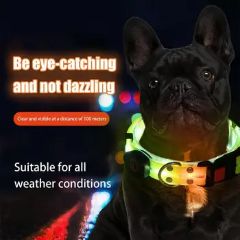 Glowing Dog Collar And Rope Rechargeable Led Dog Collar With Lighted Puppy Collar Lights USB Rechargeable Waterproof High 1