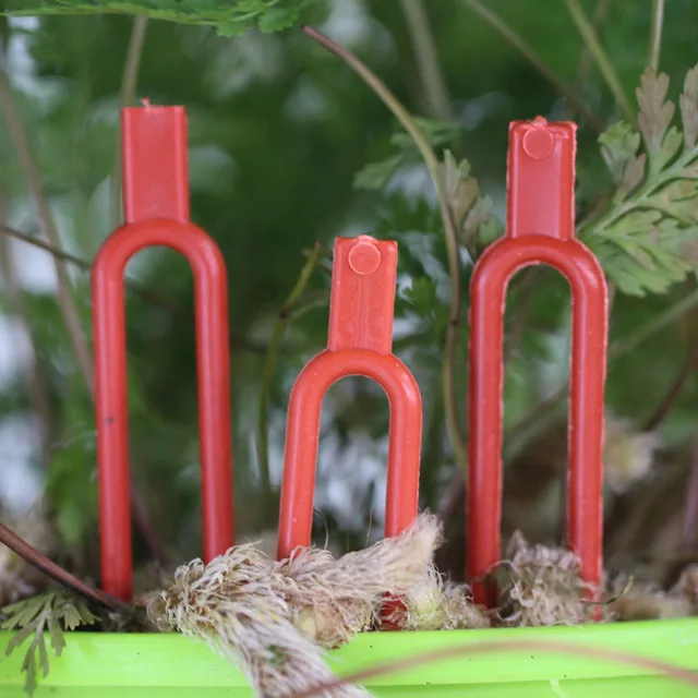 50Db Eper Piros Ültetési Rögzítő Klipek Hegymászó Támogató Kerti Szár Villa Görögdinnye Szerelvény Szőlő Tartó - Image 5