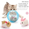 New Electric Rabbit Hamster Rolling Ball Baby Educational Toys Popular Playing Cat Electronic Plush Dog Cat Machine Pet Toys 5