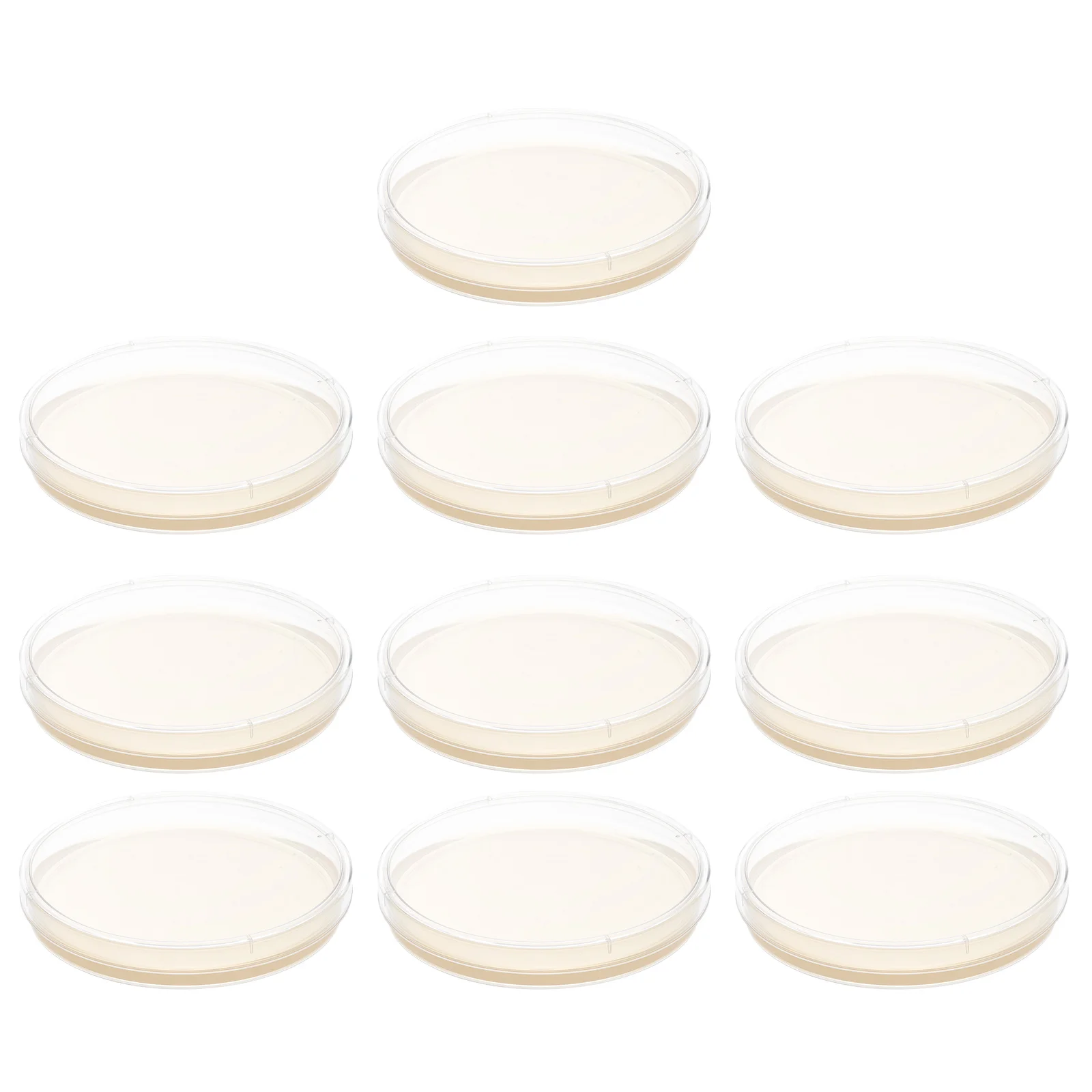 

10 Pcs Nutrient Pre-poured Labs Petri Plates Scientific Tryptic Soy Agar Petri Dishes with Tissue Culture Glass Kids Labs Child