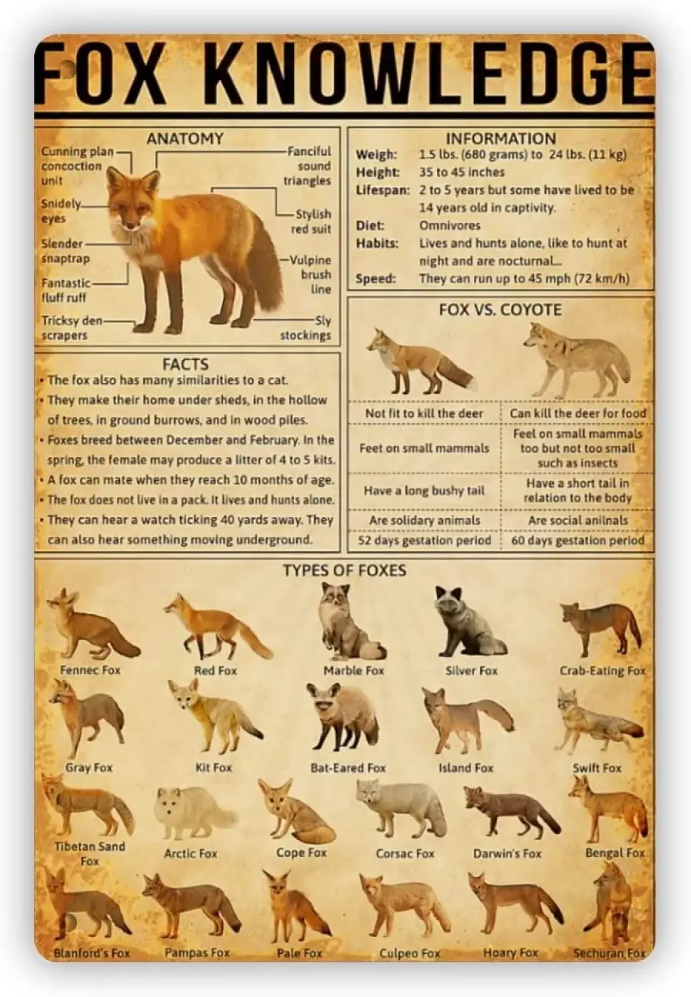 

Fox Knowledge Metal Sign Decoration for Office Bar Cafe Kitchen Bedroom Living Room, Vintage Wall Art Home Decor Gifts 8"x12"