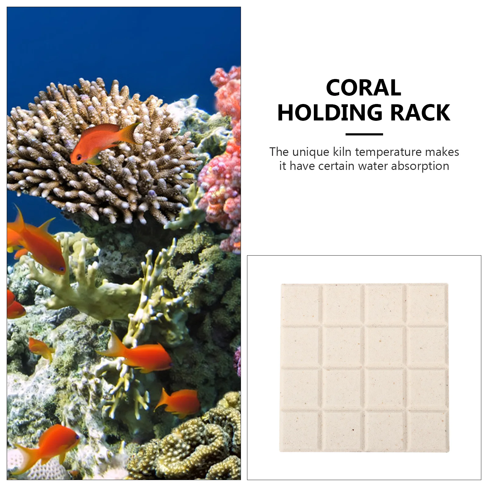 10 PCS Coral Fragment Base Plugs Kit Aquarium Reef Bases Breeding Supplies Mount Man