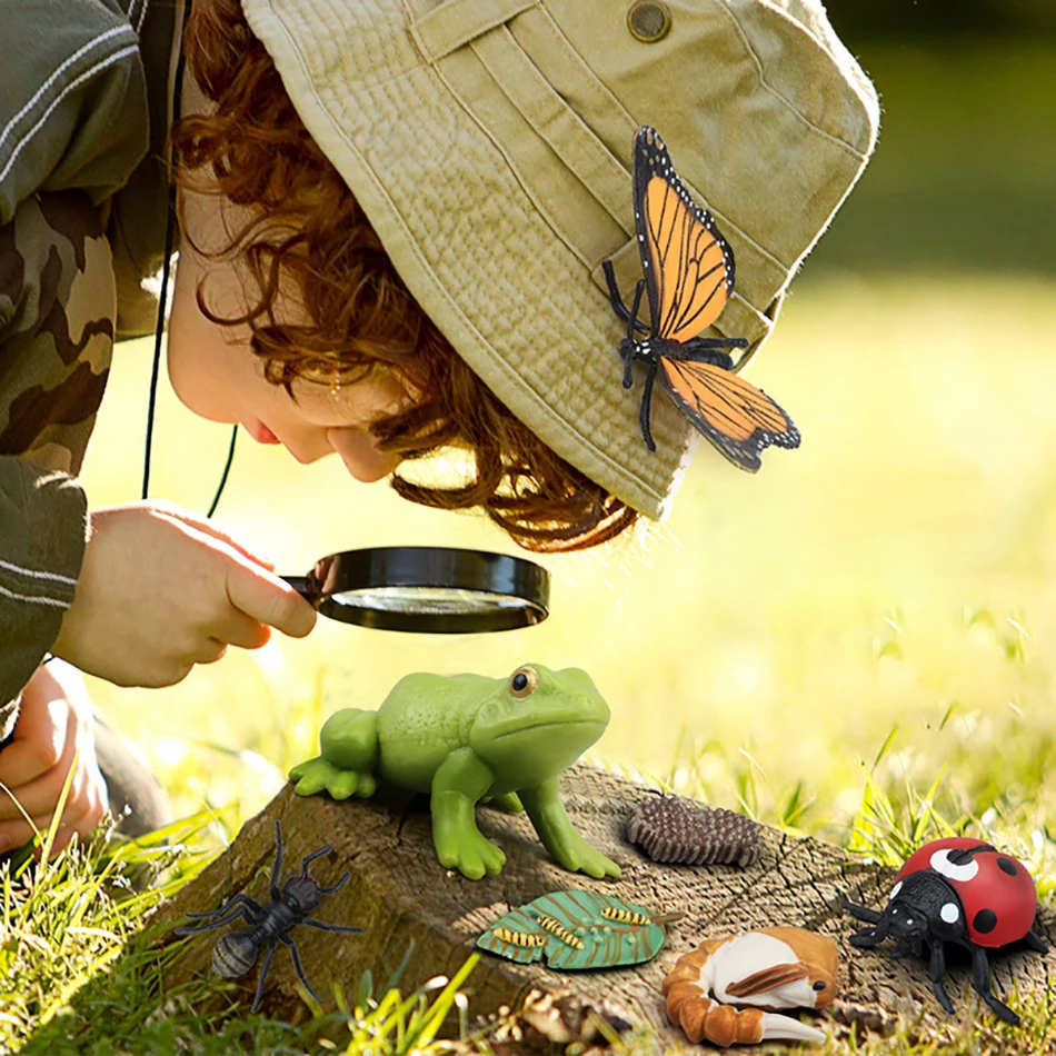 

Simulated Animals And Plants for Early Childhood Education Children's toy Model Seven Starred Ladybugs Butterflies Bees Turtles