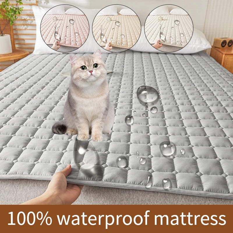 Mattress Protector 1-piece set Class A bed cover Four seasons general dormitory Autumn and winter tatami anti-slip quilted bed sheet Garden smal