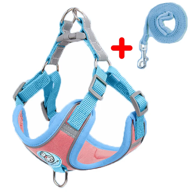 pink-blue