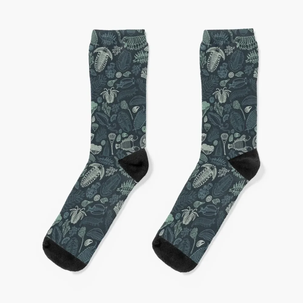 

Studio 252MYA Collaboration: Cambrian Fauna (2020 Reboot) Socks football Lots Socks Girl Men's