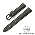 Green-Black Buckle