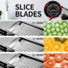 Mandoline Food Slicer, Adjustable Mandoline Slicer for Kitchen, Stainless Steel Mandolin Vegetable Chopper for Potato/Tomato 6