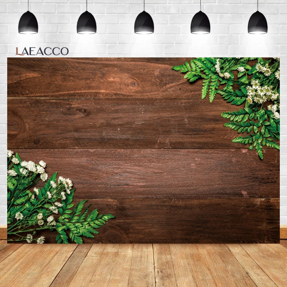 Laeacco       , ȥ  Ƽ Ȩ , ҳ ʻȭ  