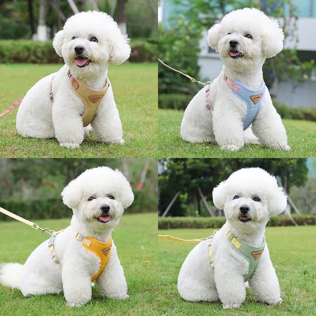 Puppy Harness and Leash Set, Breathable Pet Harness for Small and Medium-Sized Dogs and Cats, French Bulldog, Chihuahua, Poodle Pet Supplies 2