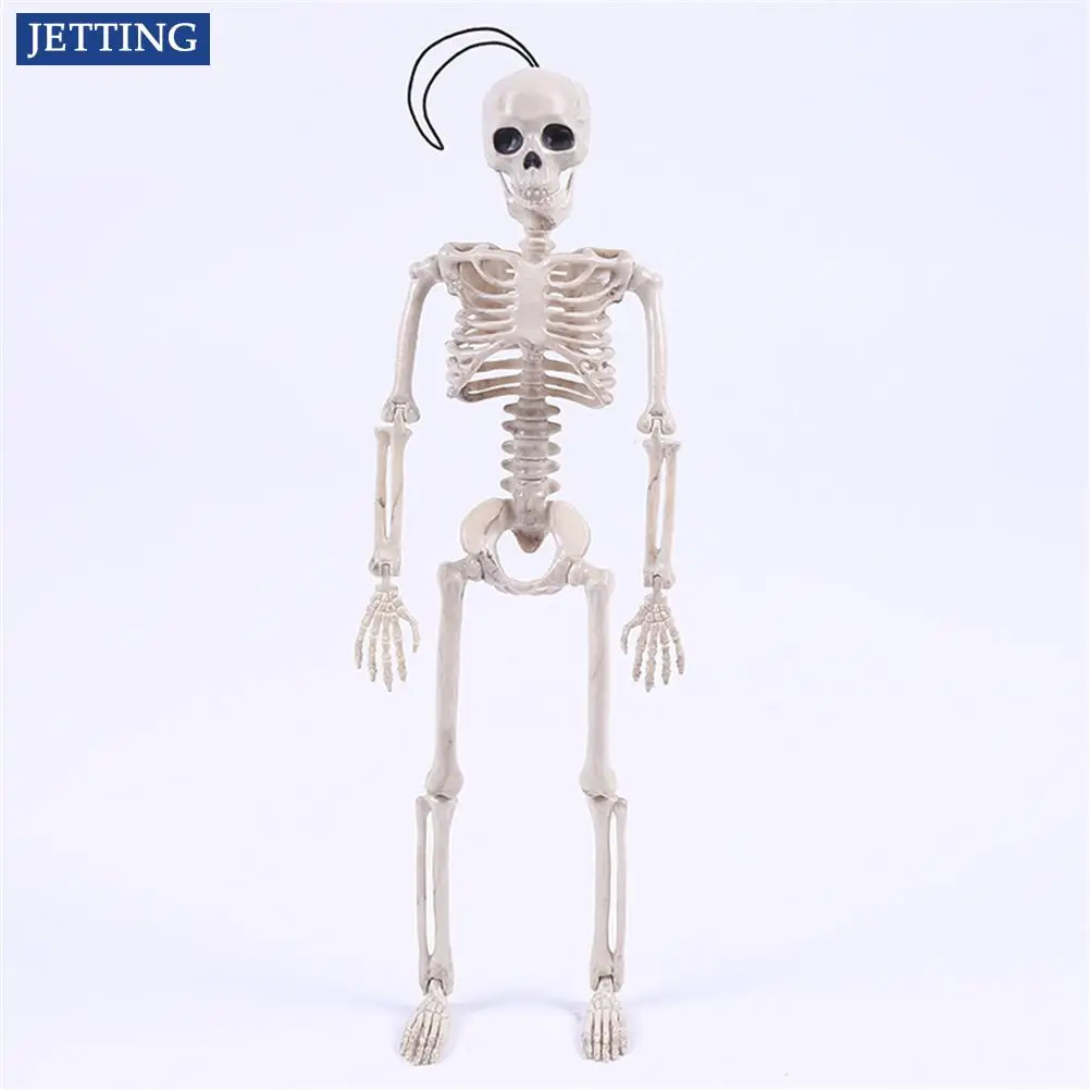 

40CM Halloween Flexible Human Anatomical Anatomy bone Skeleton Model Medical Wholesale Medical Learn Aid Anatomy art sketch