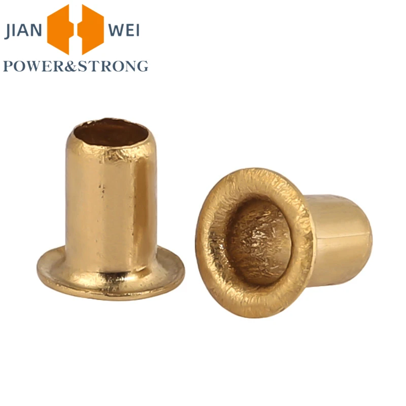 M1.3 M1.5 M2 M2.3 M2.5 M3 M4 M5 M6 Copper Rivet Nuts Through Hole Rivets Tubular Rivets Double-sided Circuit Board PCB Nails rivets and fasteners rivets and screws