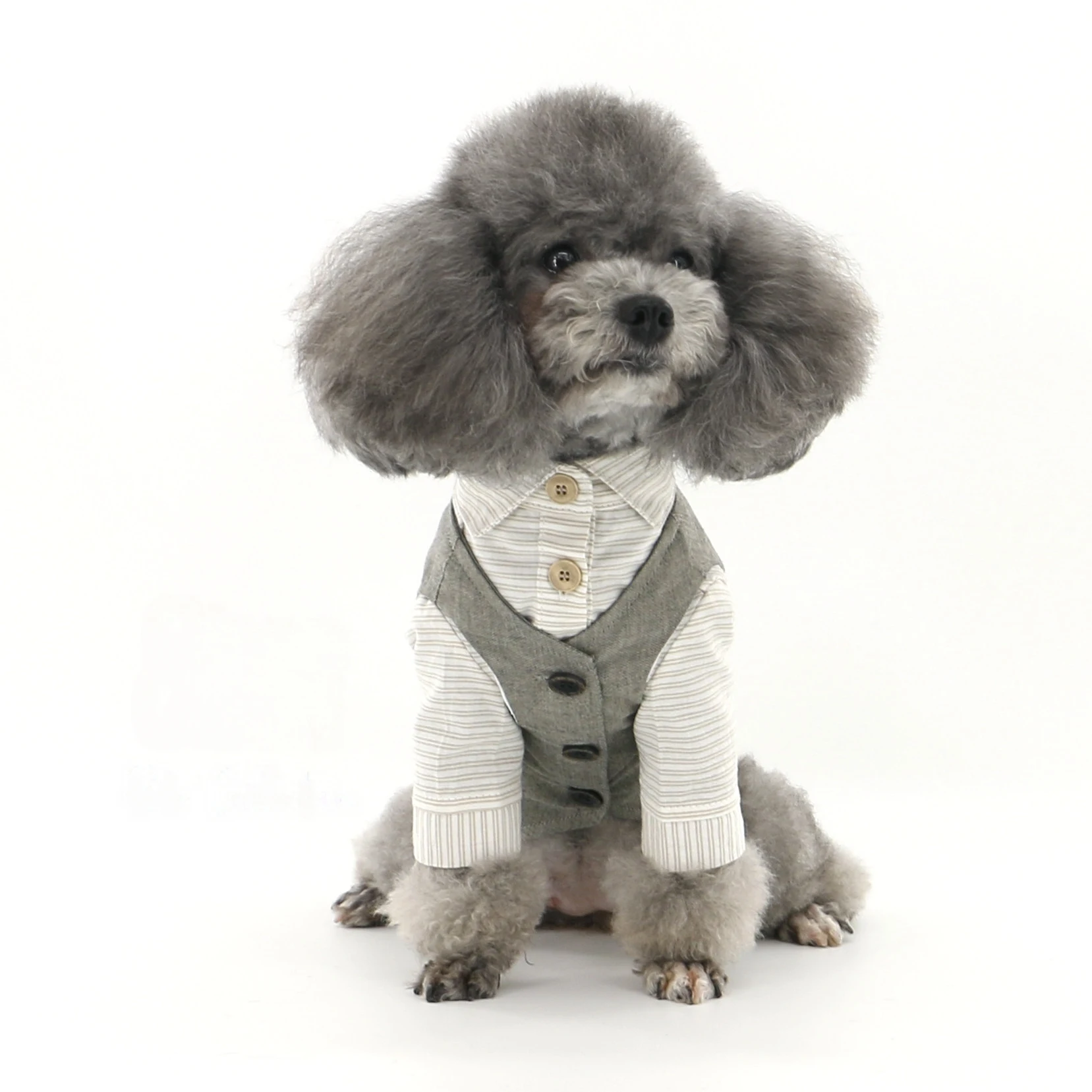 애완견 턱시도 정장, 조절 가능한 나비넥타이, 공식 애완동물 의상, 강아지 왕자 파티 웨딩 의상, 강아지 옷 세트