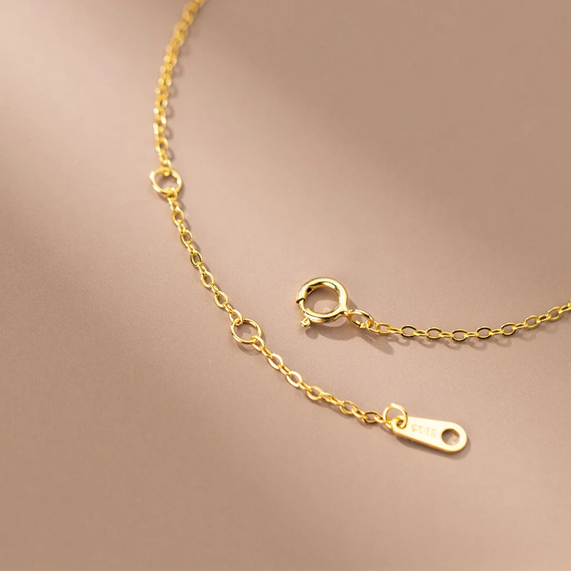 WOOZU  Ŭ   Ʈ ü   ,  ϸ , 18k  , ũ 