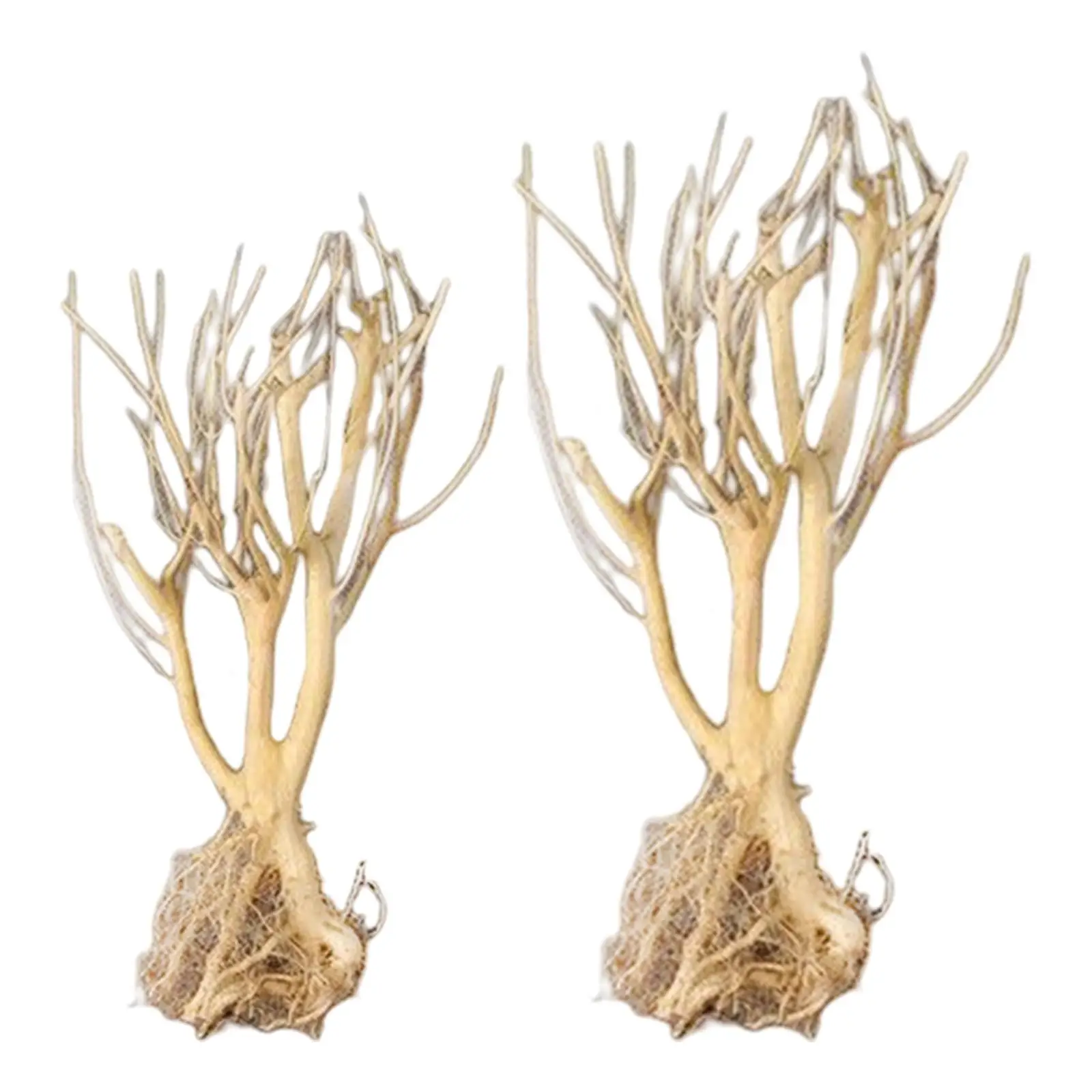 

Natural Aquarium Driftwood Reptile Branches Terrarium Ornament Trunk Fish Tank