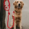 Double Buckles Braided Leashes For Dog Solid Color Multifunctional Hand-woven Leash Outdoor Walking With Medium And Large Dogs 4