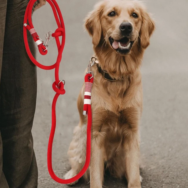 Double Buckles Braided Leashes For Dog Solid Color Multifunctional Hand-woven Leash Outdoor Walking With Medium And Large Dogs 4