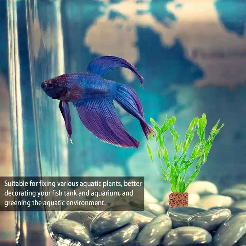 Portavaso per piante a 3 celle, 2 pezzi, per acquari, da appendere, per acquario, per pesce, acquario, piante acquaponiche e decorazioni Aquascape