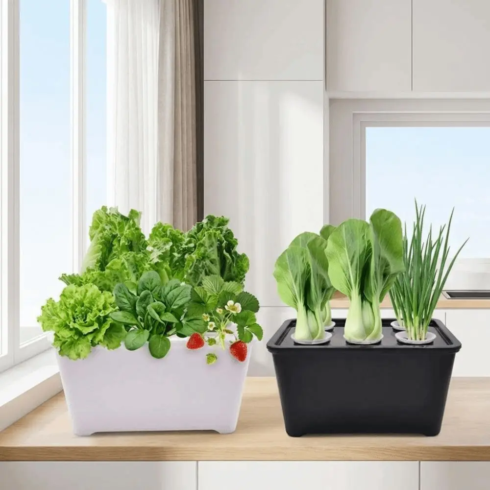 Hydroponic Grower Kit with Self-Watering Seedling Pots and Durable Cultivation Box