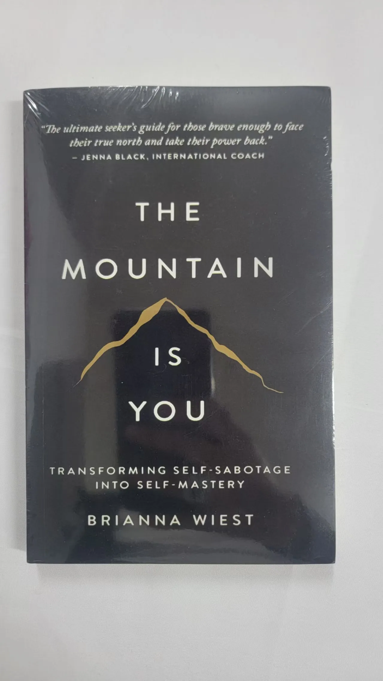 ההר הוא אתה: המרה של התאבדות עצמית לספרים באנגלית ליום ההולדת