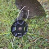 Steel Lawn Mower Head Free with 4 Lines Replacement Gasoline/Lithium Grass Trimmer Head Removal Of Garden Weed Brushcutter Part 5