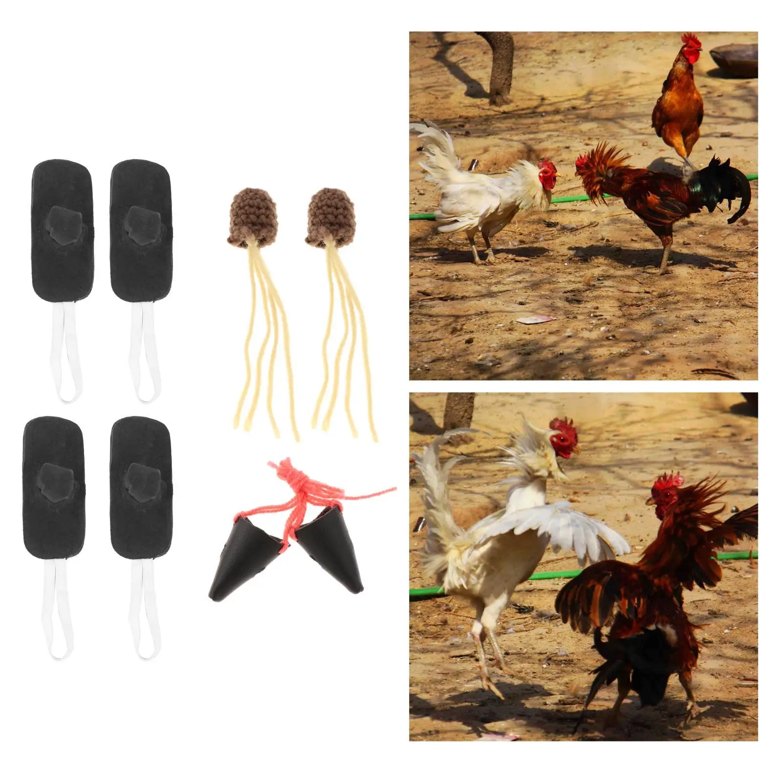 Fighting gamefowl fighting accessories wrestling farm equipment supplies poultry animals fighting poultry fighting accessories