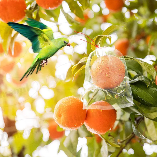 Rovarálló Nettó Táska 3-10Pcs Dinnye És Gyümölcs Elleni Fly Anti-Bird Szűrő Átitatott Mag Szőlő Nejlon Hálózsák - Image 4