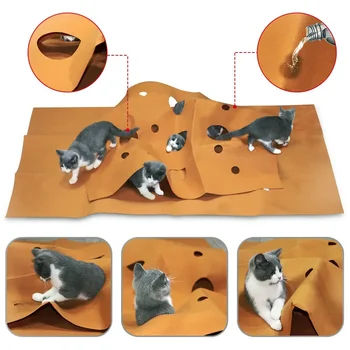 Cat Activity Play Mat 1