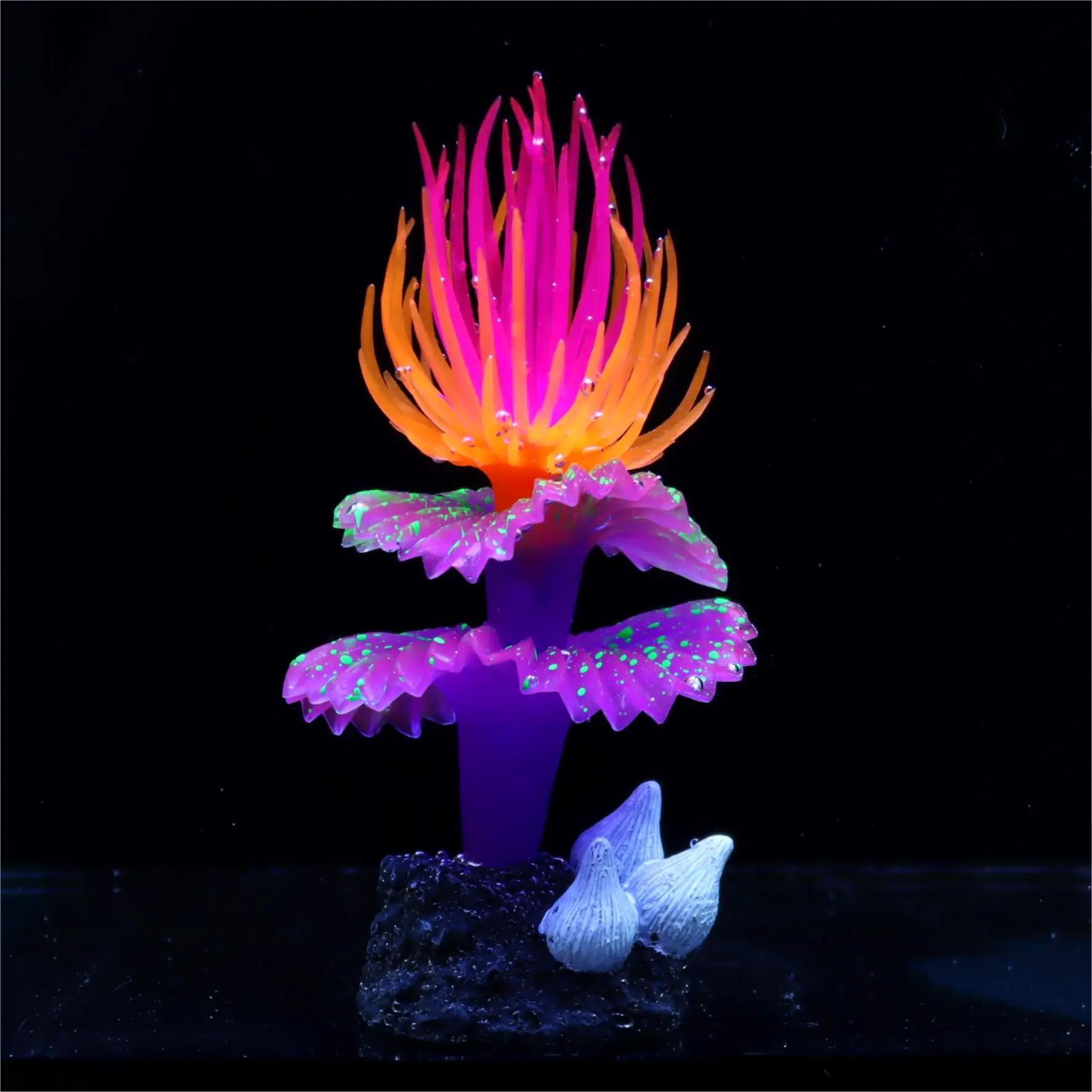 Coral Fluorescente, Gusano Marino