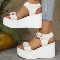 Thick Bottom Women's Wedge Heel Sandals Summer 2025 Buckle Strap Chunky Platform Sandals Woman Fashion Plus Size Beach Sandalias - Image 3