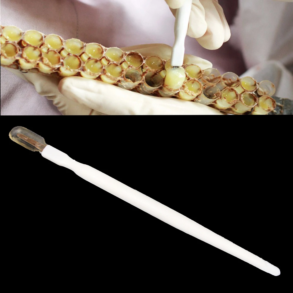 15Pcs Portable Bee Milk Royal Jelly Scraper Pulp Take Pen Plastic White Bee Tools Transfer Tools Beekeeping Equipment Supplies beekeeping tools,beekeeping accessories