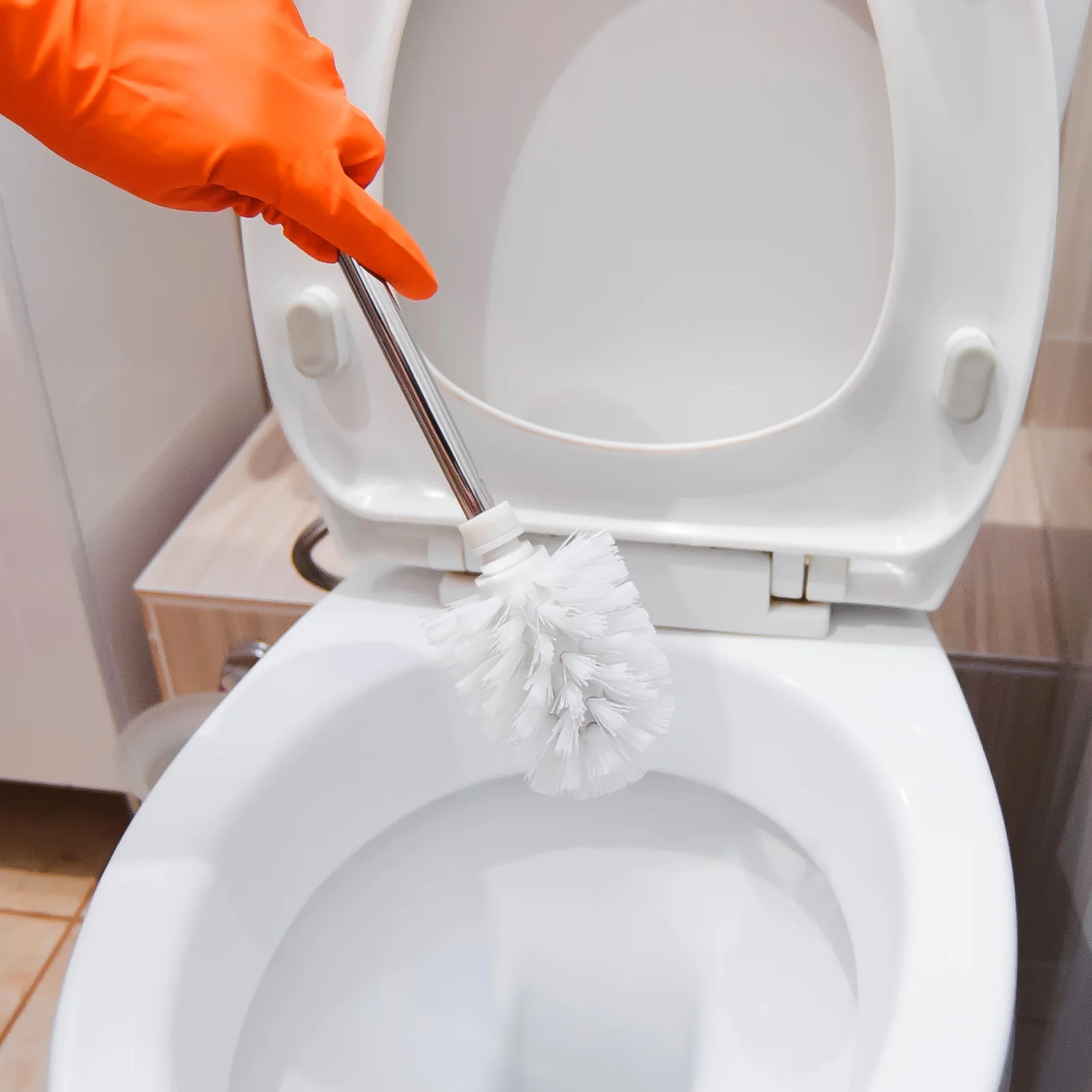 Toilet Bowl Cleaner Brush Bathroom Replacement Cleaning Scrubber Accessories Bracket Refill 5 Pcs