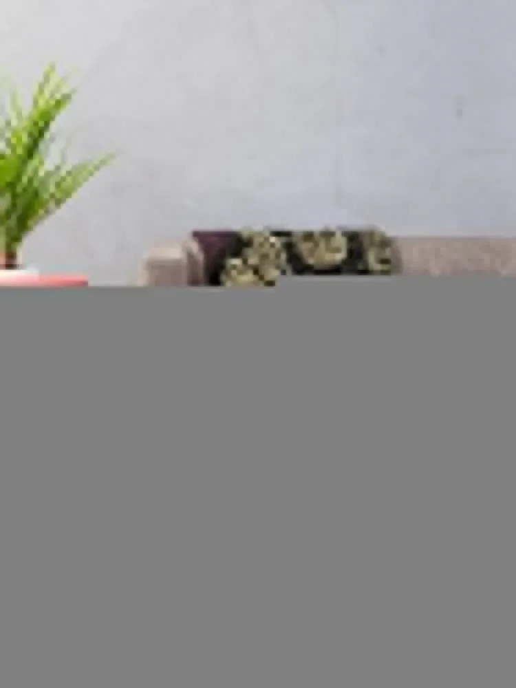 �ȶ�� ��Ʈ 8 �� ������ ���, Ŀ���� �ڽ����� �ִϸ��̼� ���� ���, ����