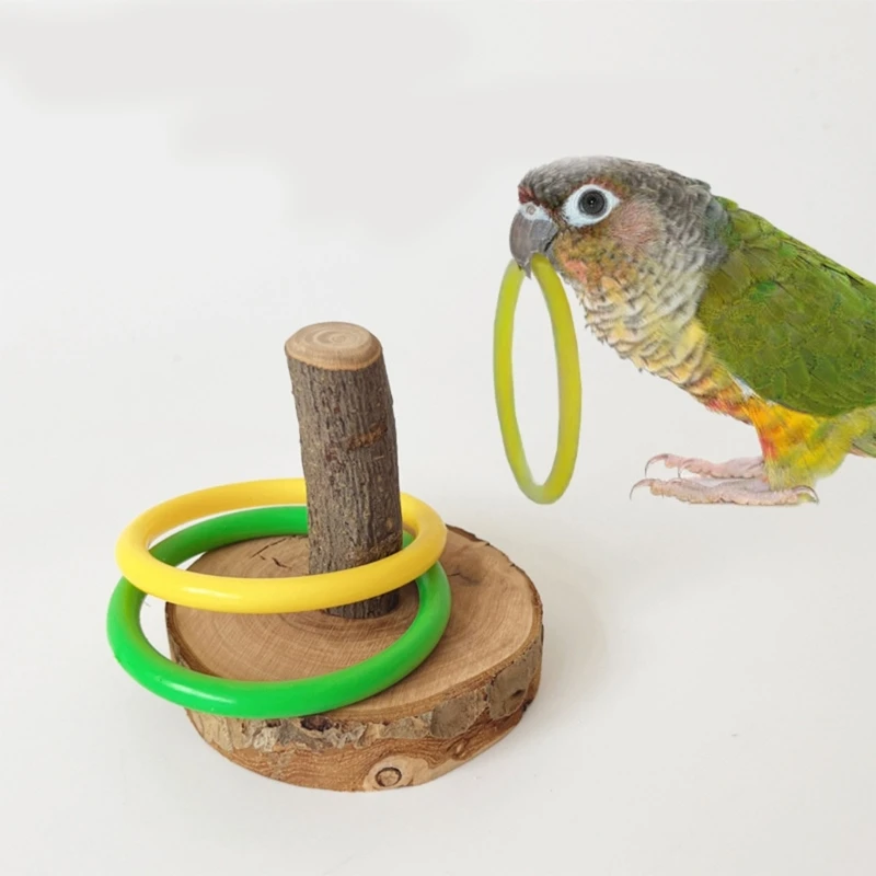 Parrots Beak Grinding Toy Bird Educational Toy with Color Rings