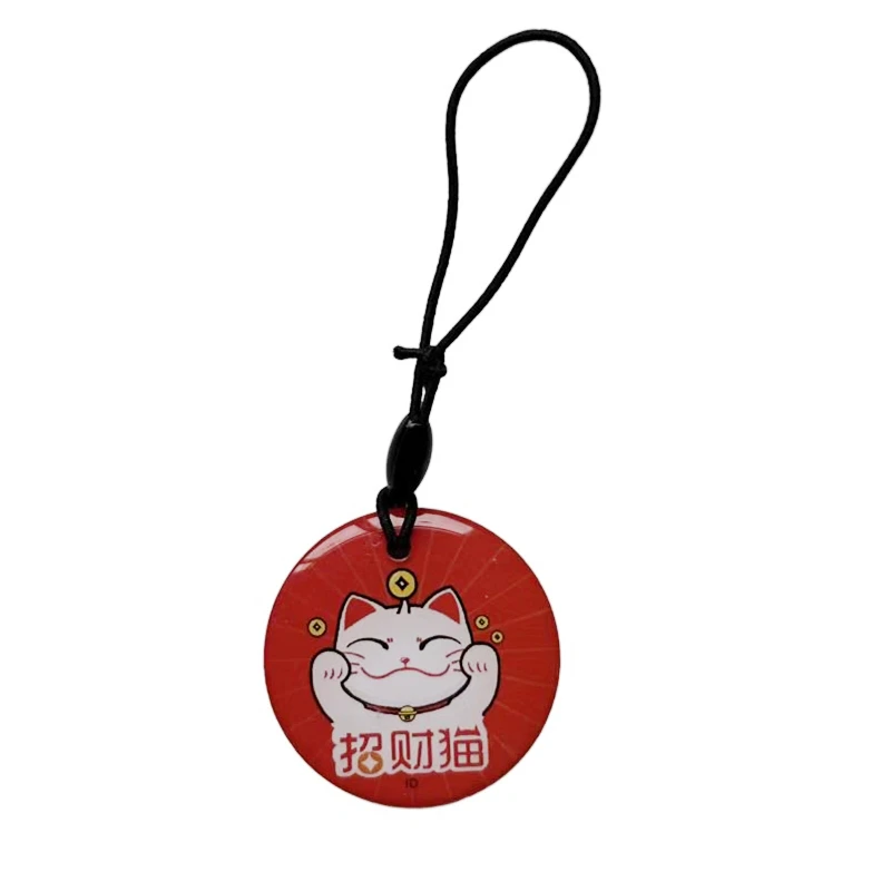 125Khz EM4305 EM4205 RFID DIY Keyfobs Key Tags Rewriteable Copy Proximity Waterproof Glue Dropping Access Control ID Blank Card 
