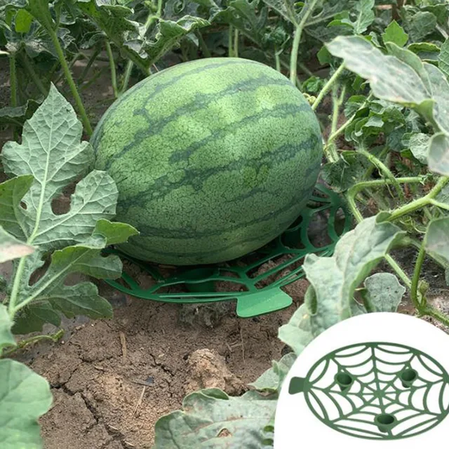 2 db 5 db Görögdinnye Állvány Kosár Keret Tartó Növény Tálca Gyümölcs Vízálló Zöldségek Kerti Szerszámokhoz